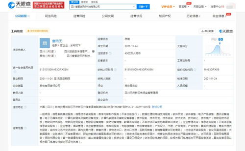 數字內容制作服務 解鎖品牌傳播新動力