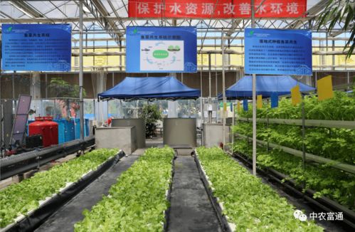 加快工廠(chǎng)化循環(huán)水養(yǎng)殖裝備技術(shù)創(chuàng)新 助推水產(chǎn)養(yǎng)殖綠色高效發(fā)展